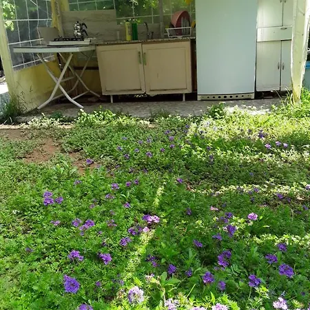 Waldvilla Apartmán *