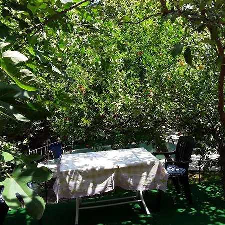 Waldvilla Apartman *