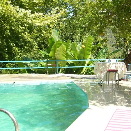 Waldvilla Apartment