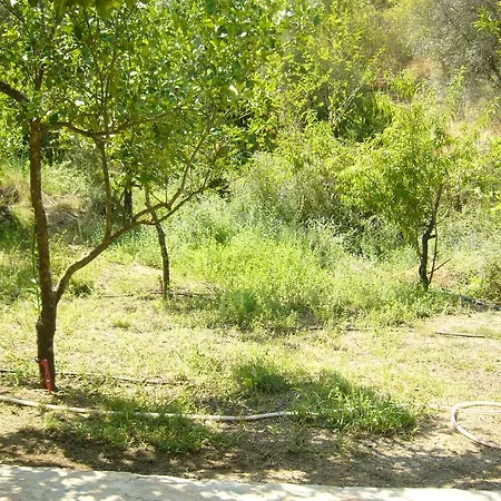 Apartment Waldvilla