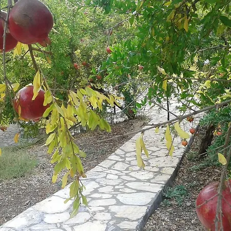 Apartman Waldvilla *