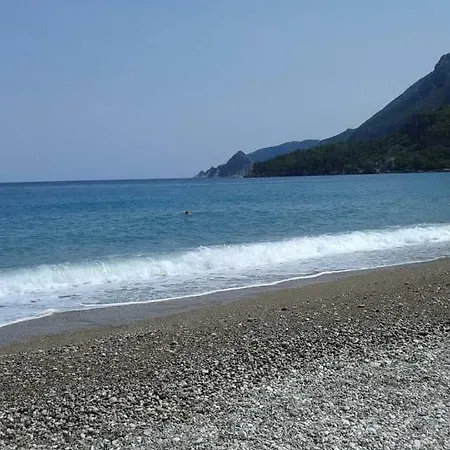 Waldvilla